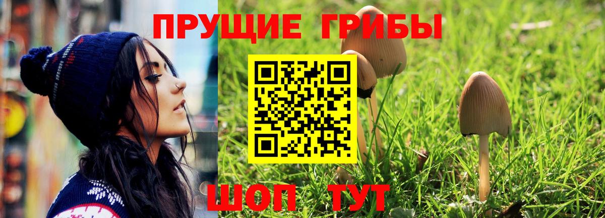 Галлюциногенные грибы Cubensis  Псилоцибиновые грибы GOLDEN TEACHER  Дубна  Вход с VPN 